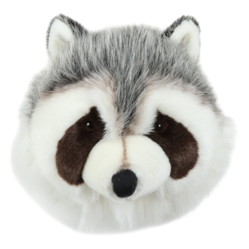 Dierenkop muurdecoratie Raccoon Josh