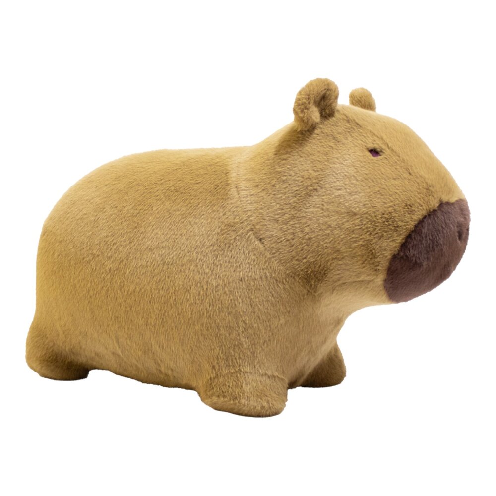Soft bouncy Capybara