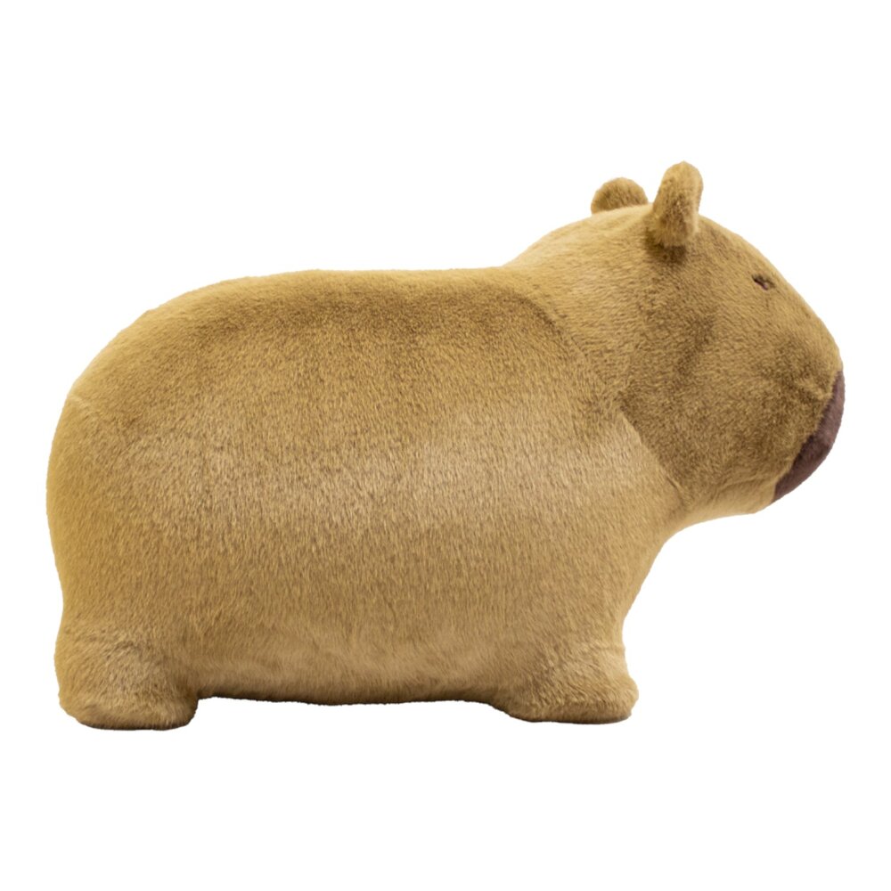 Soft bouncy Capybara