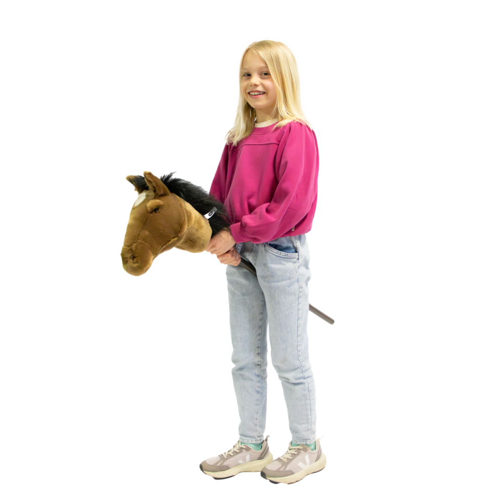 Stick animal Brown horse