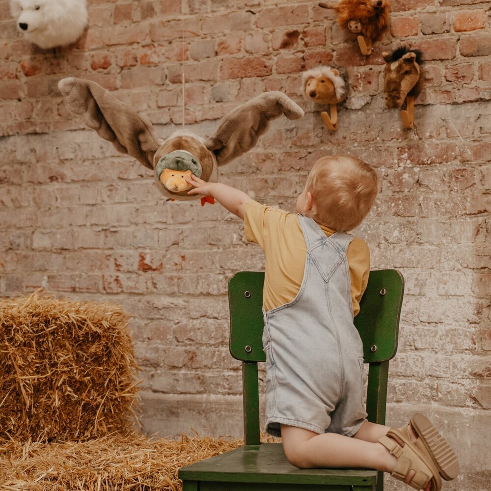 Flying duck Alain