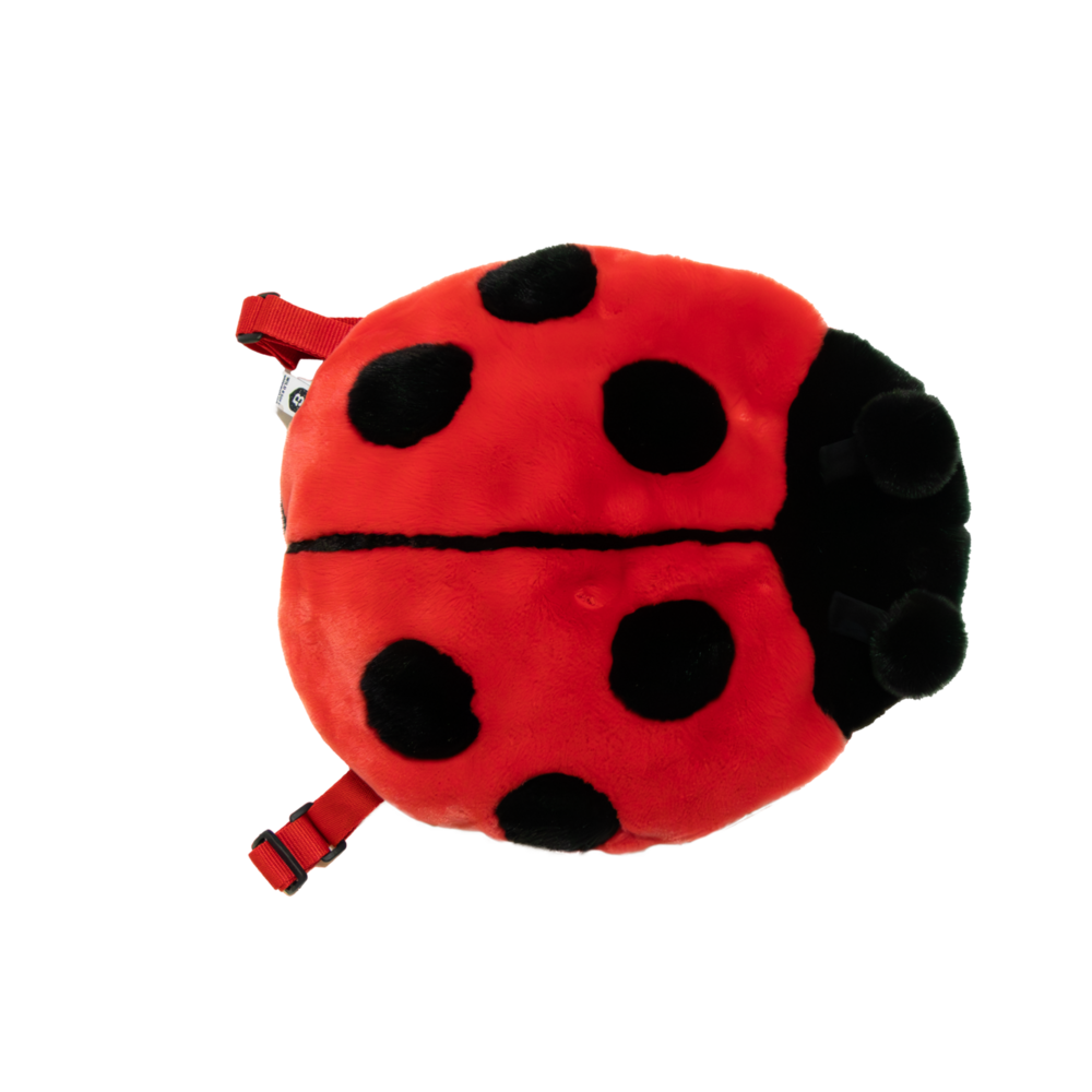 Rugzak Ladybug
