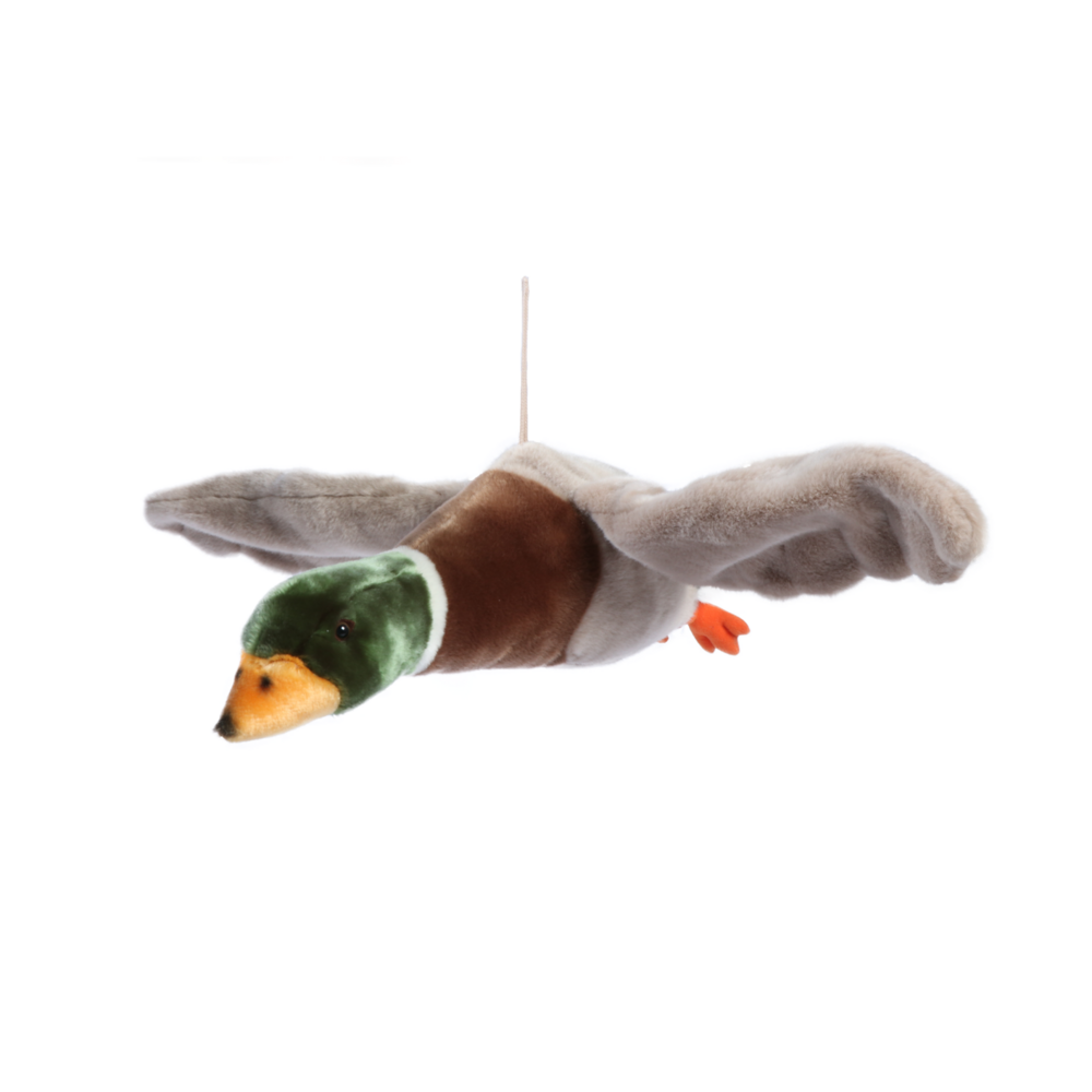 Flying duck Alain
