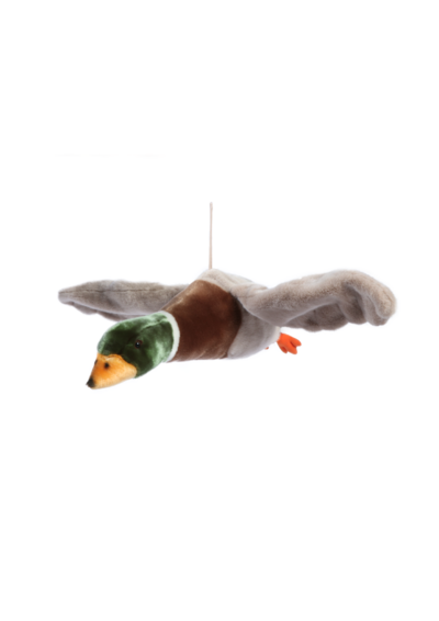 Flying duck Alain Flying duck Alain