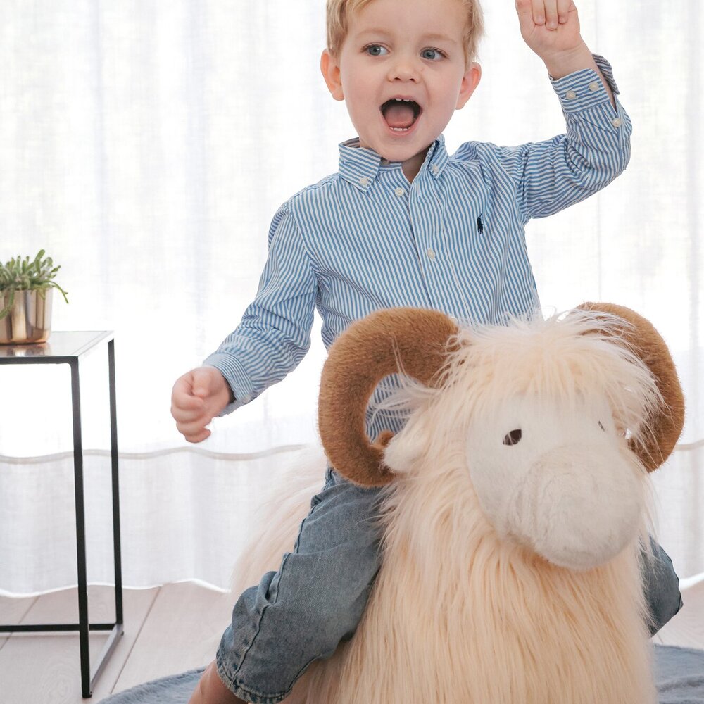Soft bouncy Ram