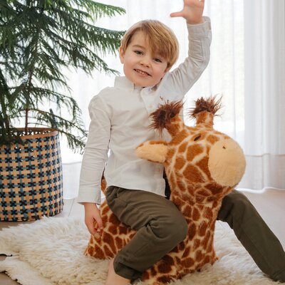Soft bouncy Giraffe Soft bouncy Giraffe