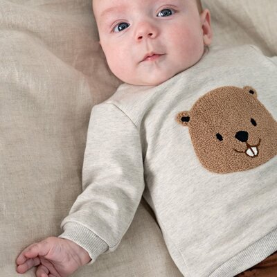 Sweater - Tiny Timber Tales Grijs melange