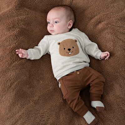 Sweater - Tiny Timber Tales Grijs melange