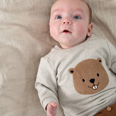 Sweater - Tiny Timber Tales Grijs melange