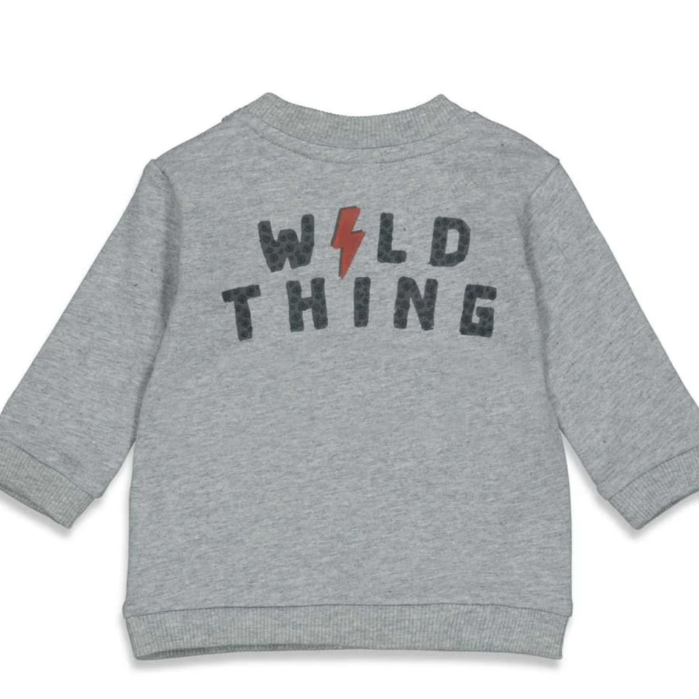Sweater - Wild Thing grijs