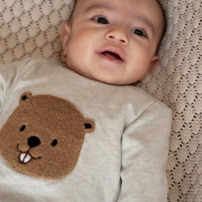Sweater - Tiny Timber Tales Grijs melange