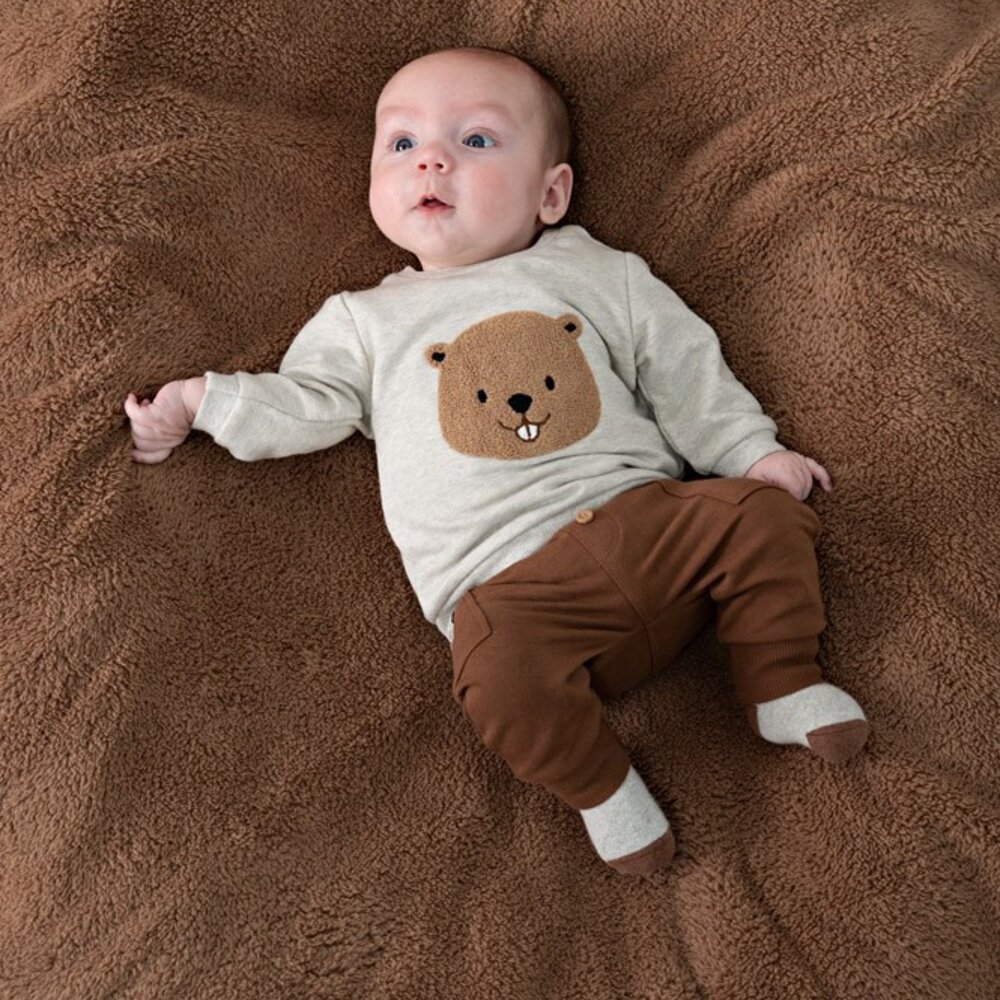 Sweater - Tiny Timber Tales Grijs melange