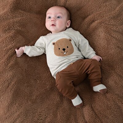 Sweater - Tiny Timber Tales Grijs melange