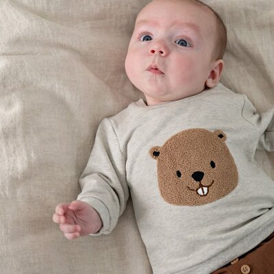 Sweater - Tiny Timber Tales Grijs melange