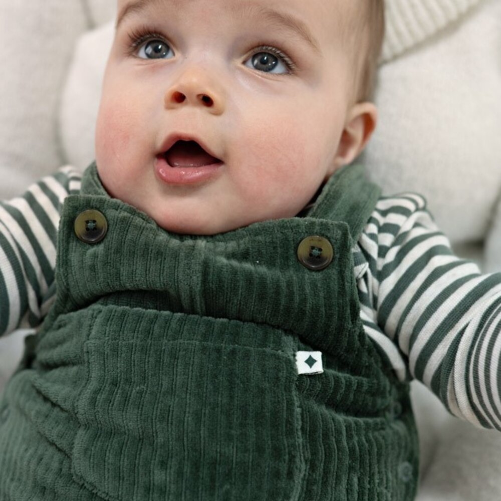 Longsleeve rib met streep - Wiggle and Waddle Groen Longsleeve rib met streep - Wiggle and Waddle Groen