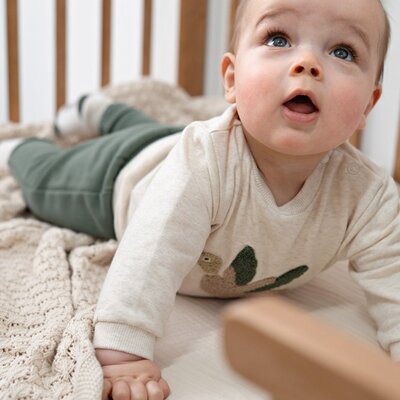 Sweater - Wiggle and Waddle offwhite melange Sweater - Wiggle and Waddle offwhite melange