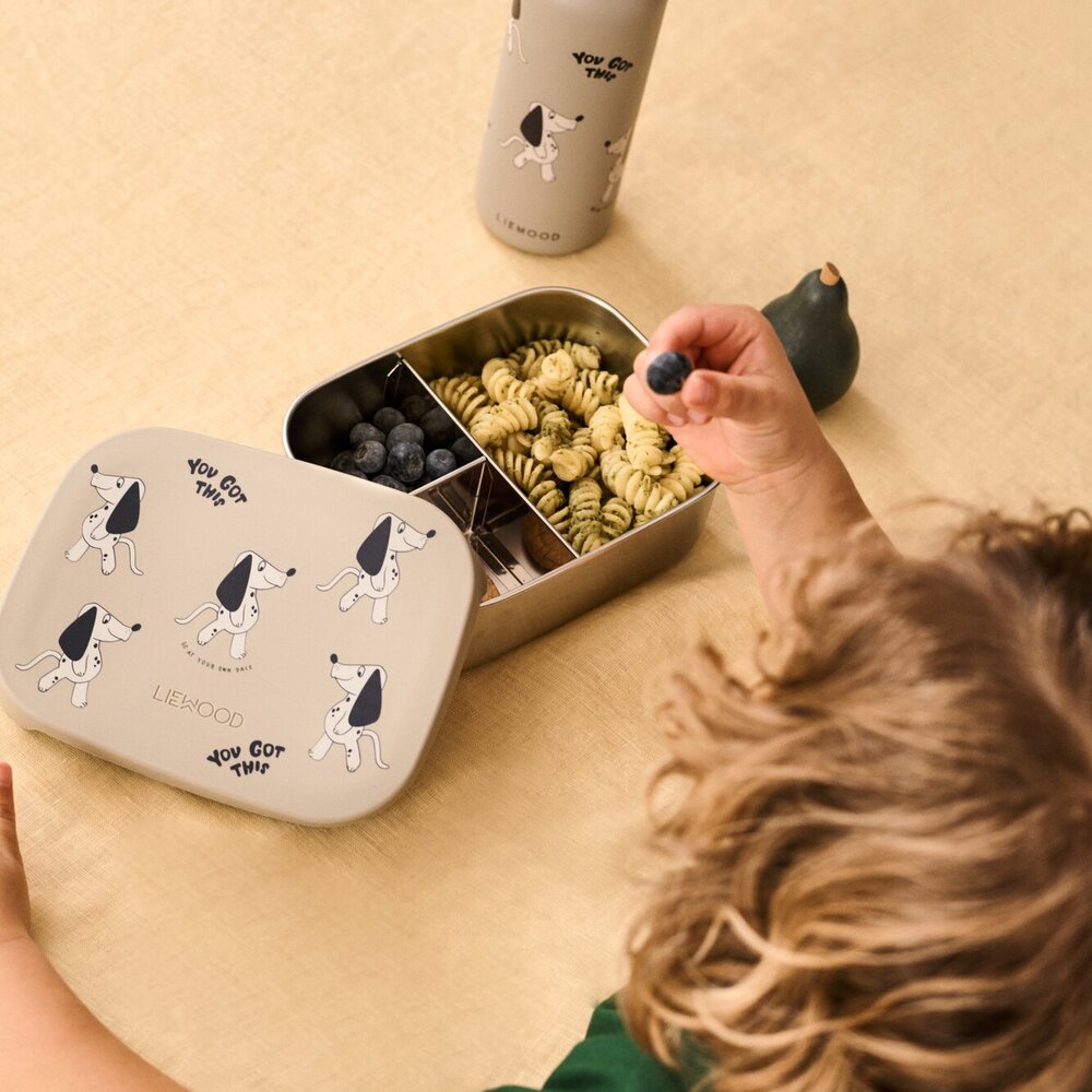 Arthur Printed Lunchbox Dakota Dog/Mist Arthur Printed Lunchbox Dakota Dog/Mist