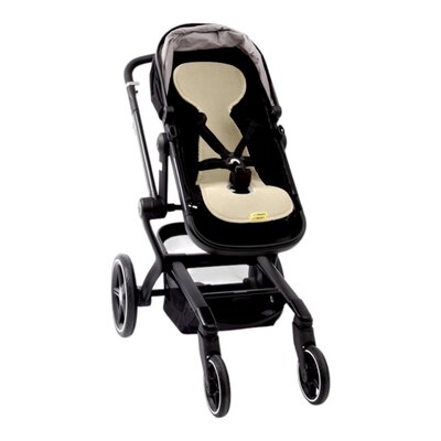 Air layer buggy Shell