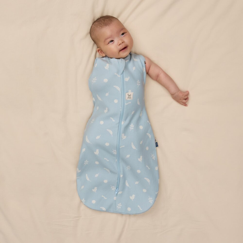 Cocoon inbaker slaapzak Tog 2,5 Ducks Cocoon inbaker slaapzak Tog 2,5 Ducks
