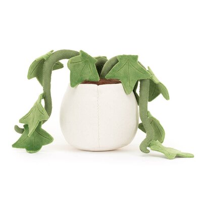 Ivy Ivy