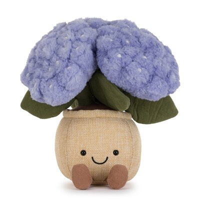 Hydrangea