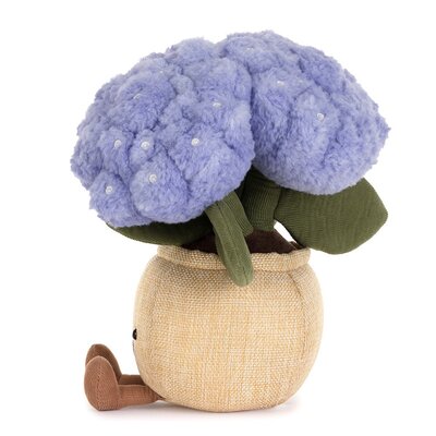 Hydrangea