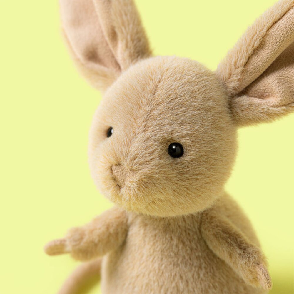 Jerboa - muis