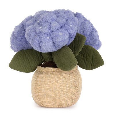 Hydrangea