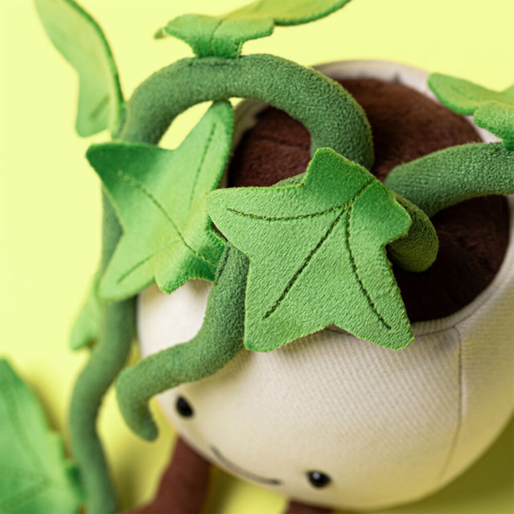 Ivy Ivy