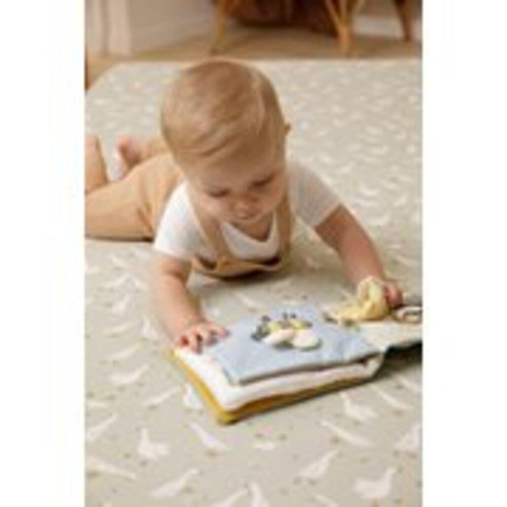 Activiteitenboekje Little Goose
