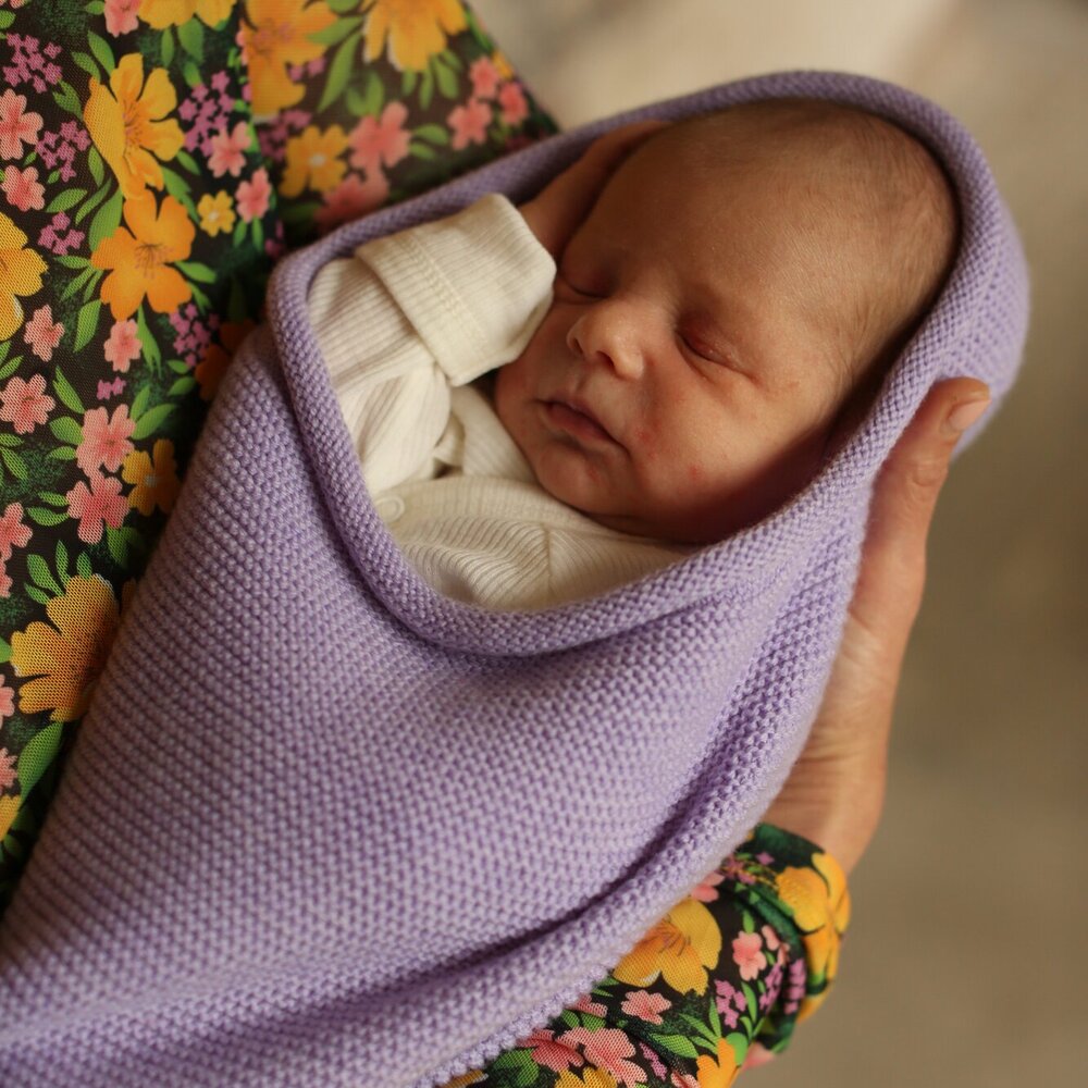 Cocoon lilac Cocoon lilac