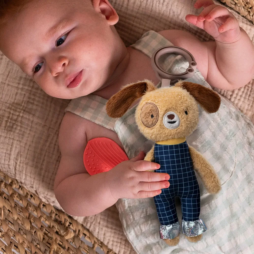 Daniel Activity Toy Daniel Activity Toy