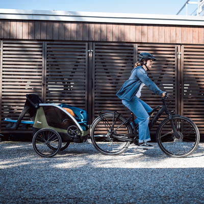 Fietskar Courier Vintage Green