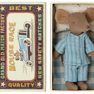 Big brother mouse in matchbox Big brother mouse in matchbox