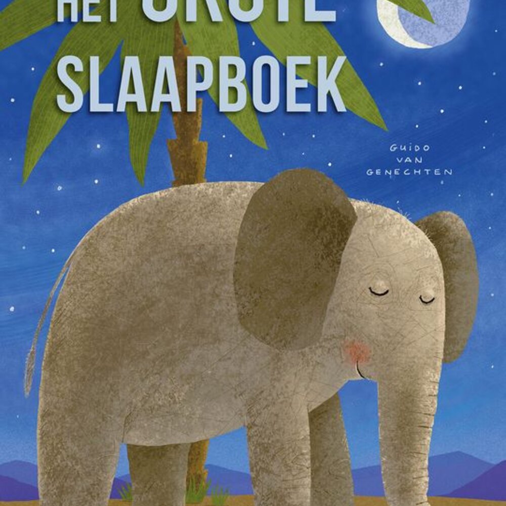 Het grote slaapboek Het grote slaapboek