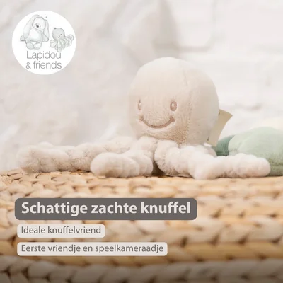 Octopus zand Lapidou