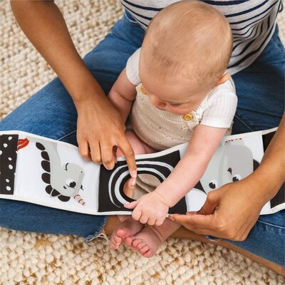 Dubbelzijdig eerste boek Born to party Dubbelzijdig eerste boek Born to party