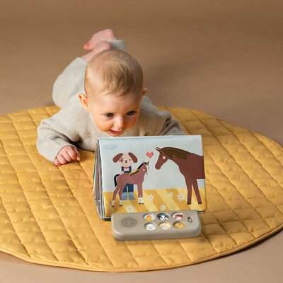 Farm musical tummy time book Farm musical tummy time book