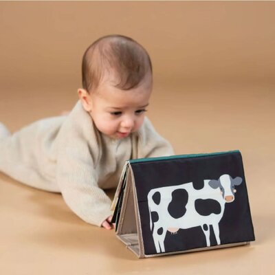 Farm musical tummy time book Farm musical tummy time book
