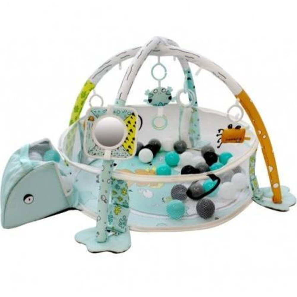 Ball Pit Activity Gym - Frog