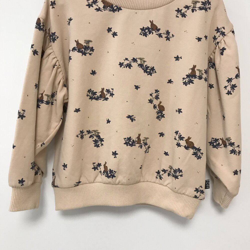 Balloon Sweater oatmeal forest